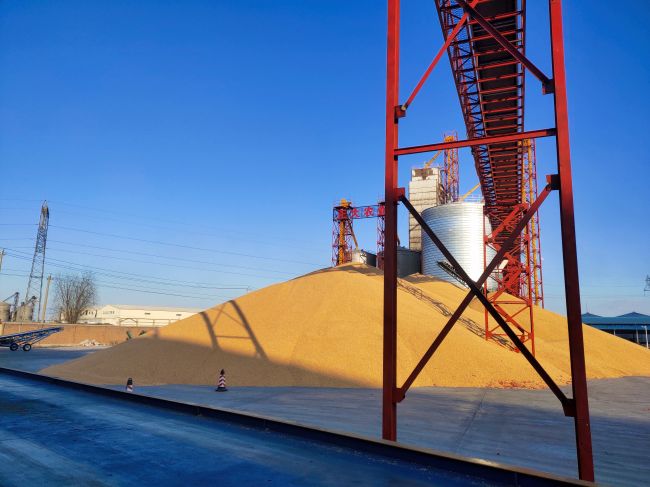 賣糧地磅怎么選，秋收地磅怎么查，看看這篇文章吧！