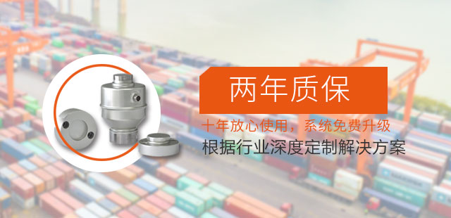 無(wú)人值守汽車衡廠家